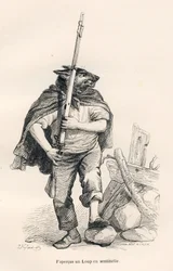 Loup en sentinelle (Voyage d