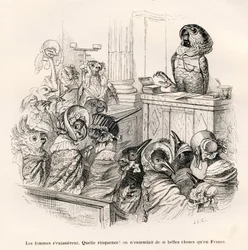 Perroquet éloquent. Vignettes illustrées par J. J. Grandville. Gravure signée Porret dans la partie intitulée « Guide-âne à l