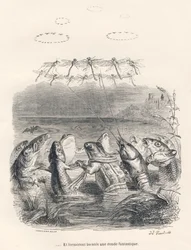 Ronde des animaux d