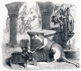 La chauve-souris et les deux belettes - Fables de La Fontaine