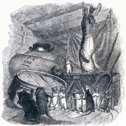 Le chat et un vieux rat - Fables de La Fontaine