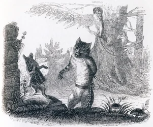 Le chat et le rat - Fables de La Fontaine