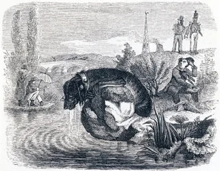 Le chien qui abandonne sa proie pour son ombre - Fables de La Fontaine