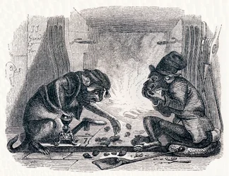 Le singe et le chat - Fables de La Fontaine