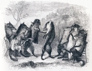 Le renard ayant la queue coupée - Fables de La Fontaine
