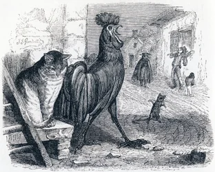 Le coq, le chat et le souriceau - Fables de La Fontaine