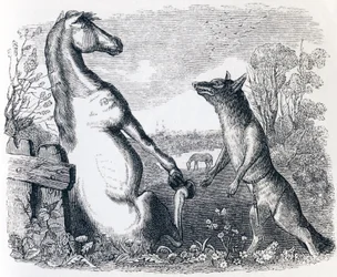 Le cheval et le loup - Fables de La Fontaine