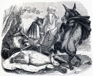 Le lion devenu vieux - Fables de La Fontaine