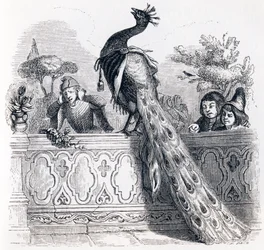 Le paon se plaignant à Junon - Fables de La Fontaine