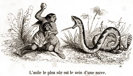 Le refuge le plus sûr est le sein d