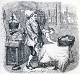 Le cygne et le cuisinier - Fables de La Fontaine