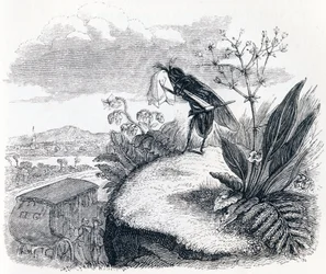 Le coche et la mouche - Fables de La Fontaine