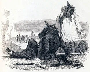 Les deux mulets - Fables de La Fontaine