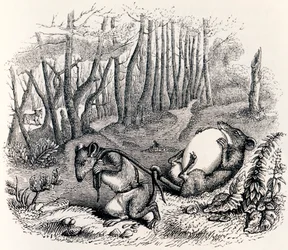 Les deux rats, le renard et l