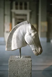 Tête de cheval (marbre)