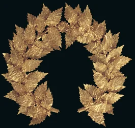 Couronne de chêne, peut-être d