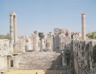 Le Grand Escalier du Temple d
