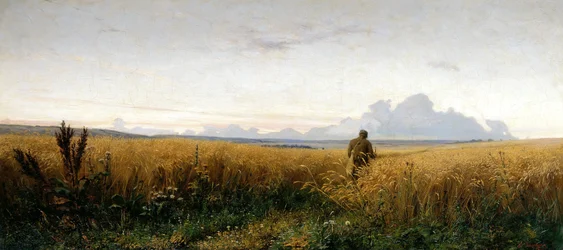 Sentier dans un champ de seigle