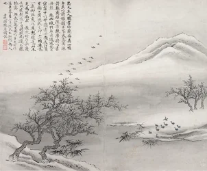 Oiseaux sur la berge
