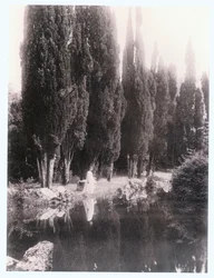 Pompeii (photo)