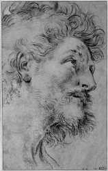 Tête de saint Crispin