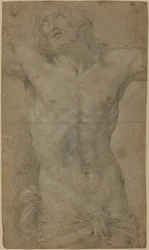 Torse du Christ en croix