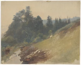 Pente de montagne avec des pins