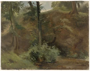 Arbres dans un paysage de dunes