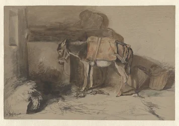 Petit âne dans une étable