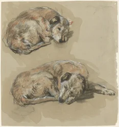 Deux études d