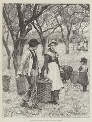 Scènes agricoles, novembre, la récolte des pommes