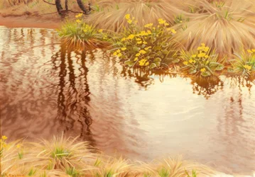 Paysage riverain estival