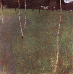 Ferme avec des bouleaux