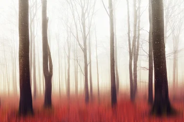 La forêt rouge onirique