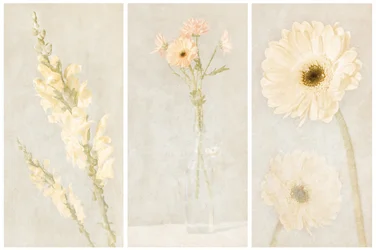 Triptyque floral délavé