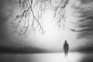 Une silhouette solitaire en hiver