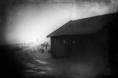 Silhouette solitaire dans le brouillard hivernal