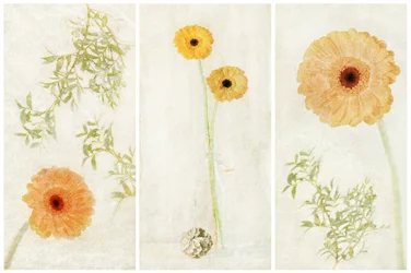 Triptyque « Soft Gerbera »