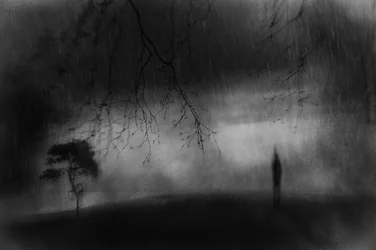 Silhouette solitaire dans un paysage pluvieux
