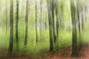 Impression printanière