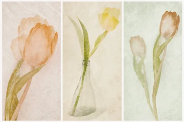 Triptyque « Tulipes » à l