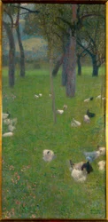 Après la pluie