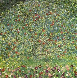 Pommier I