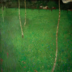 Ferme avec bouleaux