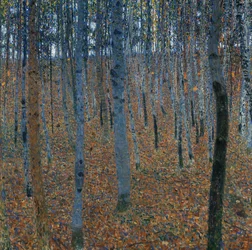 Bosquet de hêtres I