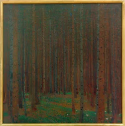 Forêt de sapins I