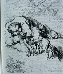 Illustration pour 