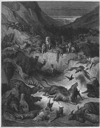 Les Animaux malades de la peste - des 
