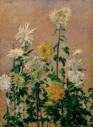 Chrysanthèmes blancs et jaunes
