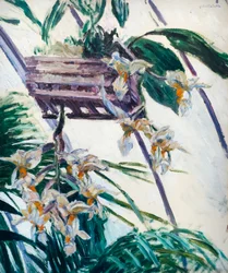 Orchidées, vers 1893